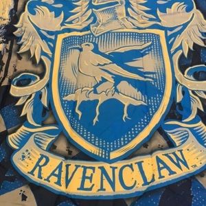 Harry Potter Ravenclaw Twin Comforter. Like new.